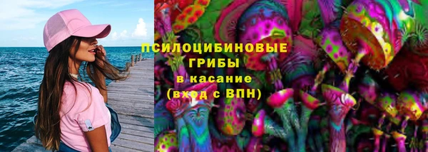 первитин Алексин