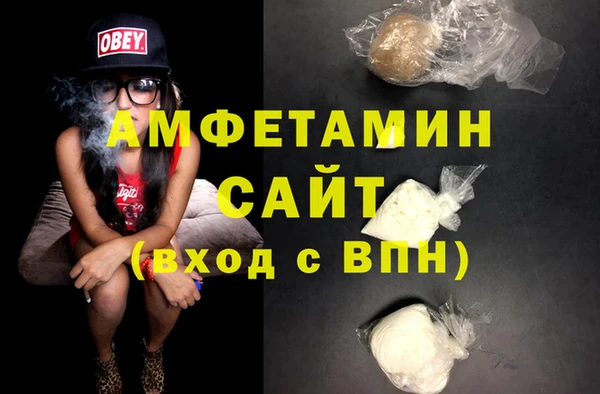 ECSTASY Алзамай