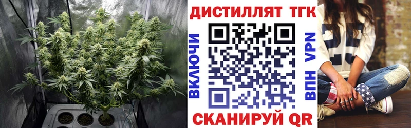 Дистиллят ТГК THC oil  Бакал 